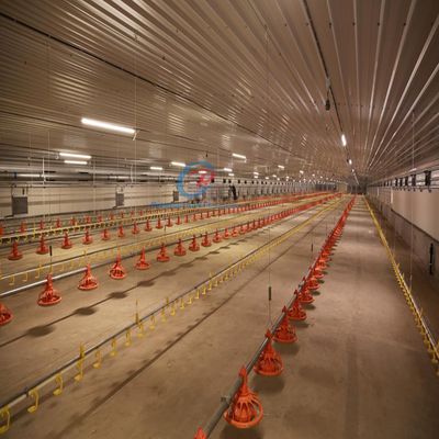 Экономичные стальные здания Строительство стальных конструкций на заказ