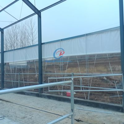 Строительство стального металлического сарая, готовое стальное сарае для молочной фермы