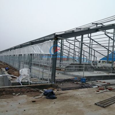 Предварительно изготовленная стальная конструкция коровьи сараи