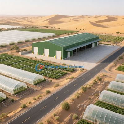 Customized Workshop Made of GB/CE/European Standard Steel Structure Warehouse